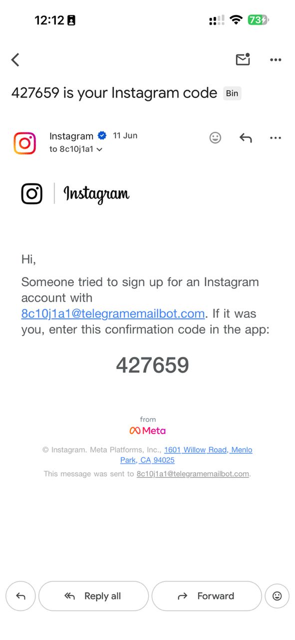 Instagram OTP — real TelegramEmailBot screenshot